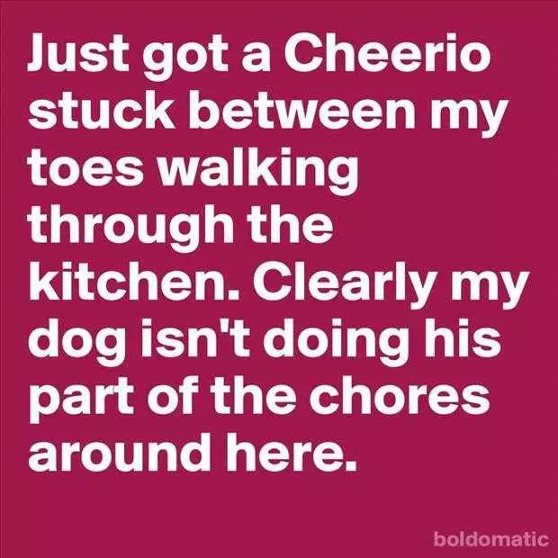 Funny Quote Of The Day (3)