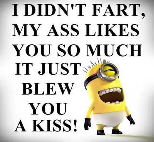 Funny Minion Quotes 279