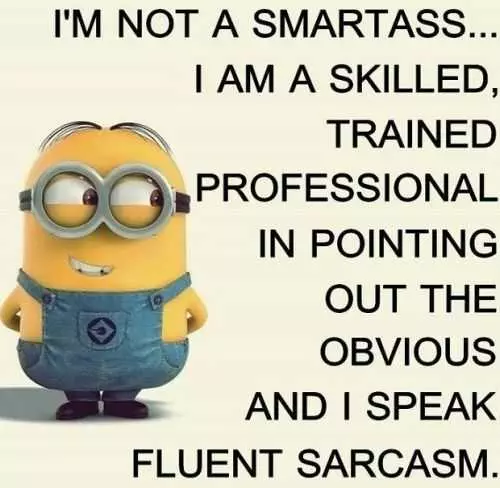 Funny Minion Quotes 284