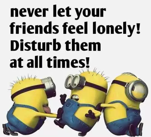 Funny Minion Quotes Of The Day 271
