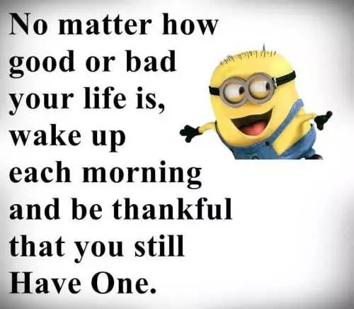 Funny Minion Quotes Of The Day 281