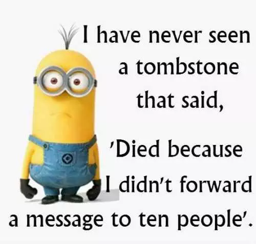 Funny Minion Quotes Of The Week