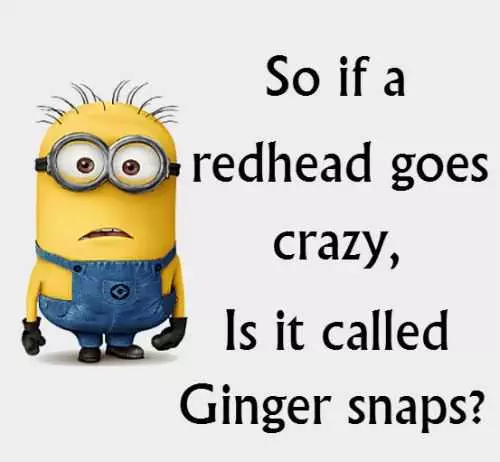 Funny Minion Quotes Of The Day 316