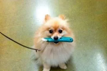 Funny Pictures Featured 321