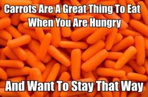 Why You Eat Carrots