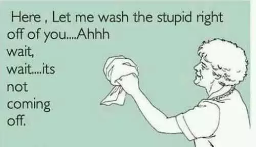 Wipe The Stupid Off Funny Ecard