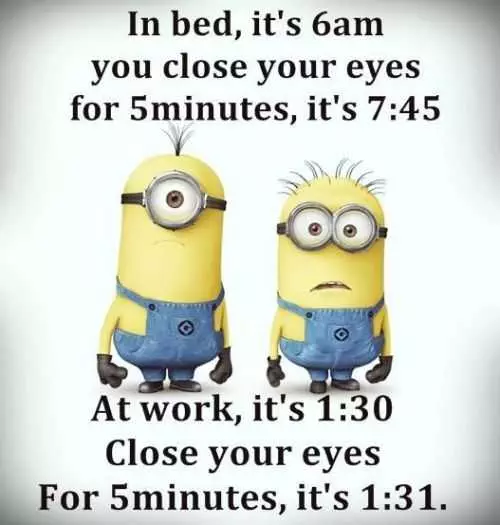 Funny Minions Quotes 393