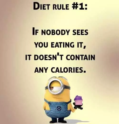 Funny Minions Quotes 403