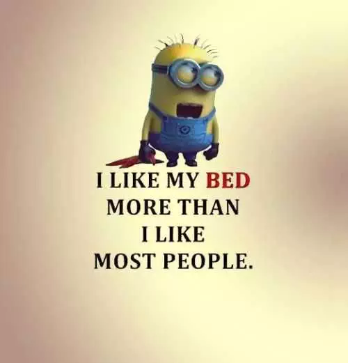 Funny Minions Quotes 404