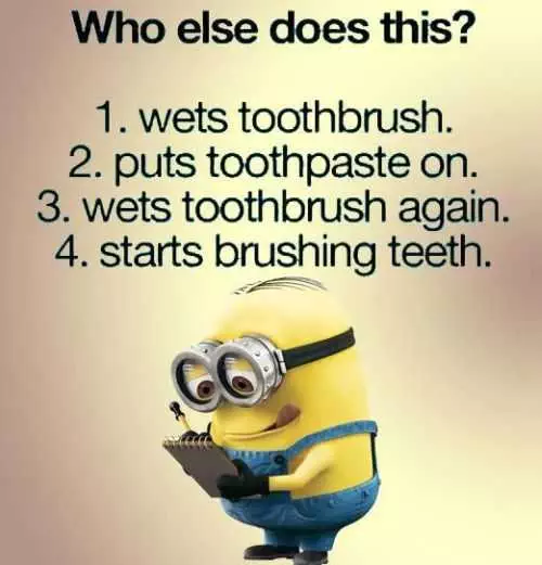 Funny Minions Quotes 411