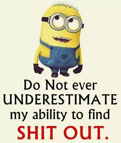 Funny Minions Quotes 414