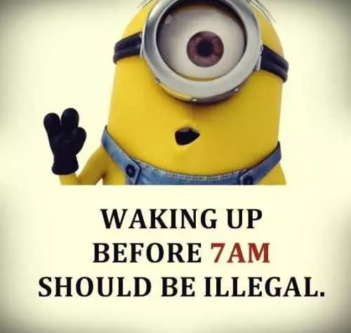 Funny Minions Quotes 419