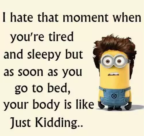 Funny Minions Quotes 421