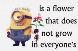 Funny Minions Quotes Of The Week Featured