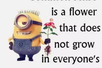 Funny Minions Quotes Of The Week Featured