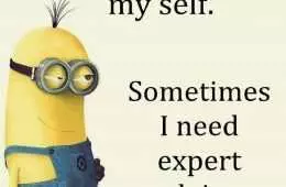 Minions Quotes 325 Featured