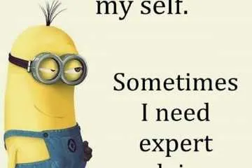 Minions Quotes 325 Featured
