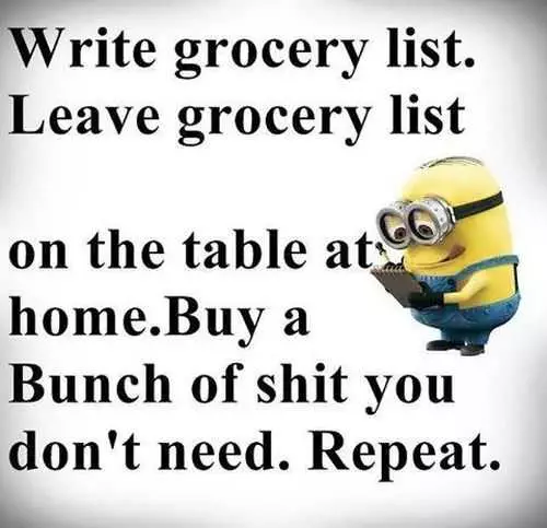 Minions Quotes Of The Day 305