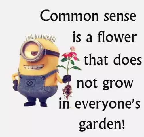 Minions Quotes Of The Day 323 Funny Minions Quotes Of The Week