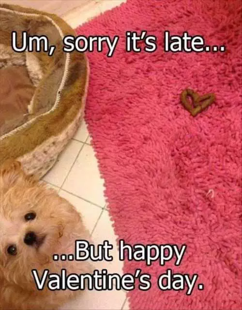 Doog Poop In The Shape Of A Heart. Dog Left Poop Valentine