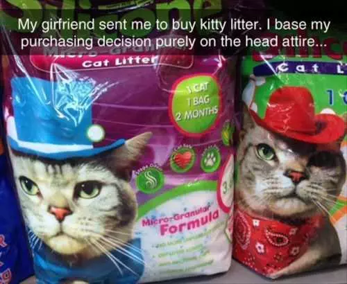 Funny Kitty Litter Bags