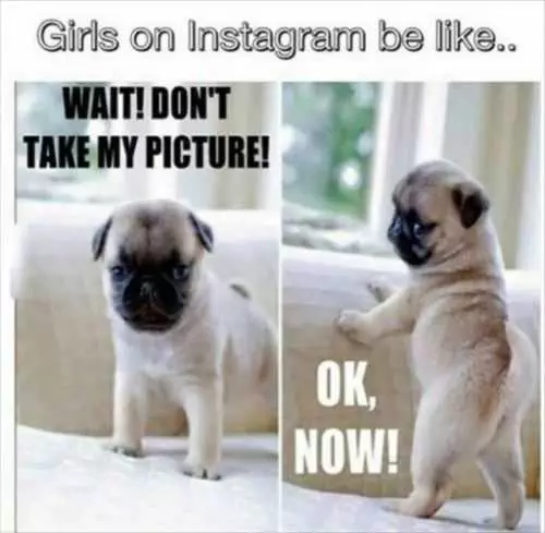 Girls On Instagram Be Like. Funny Pug On Instagram
