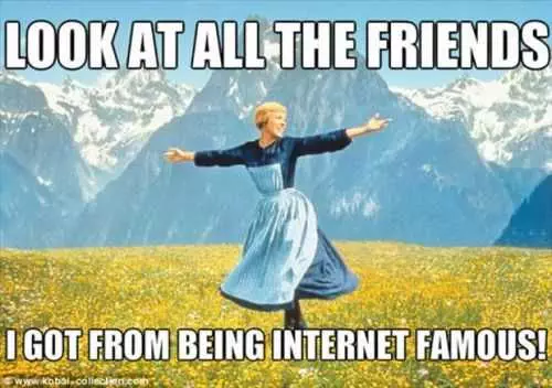 Look At All The Friends I Got From Being Internet Famous. Funny Sound Of Music Meme