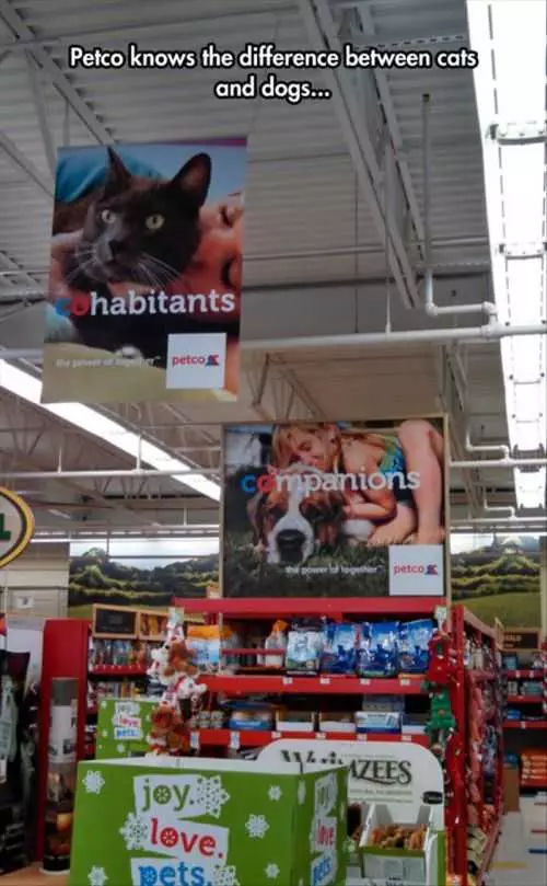 Petco Knows The Diffrence Between Cats And Dogs