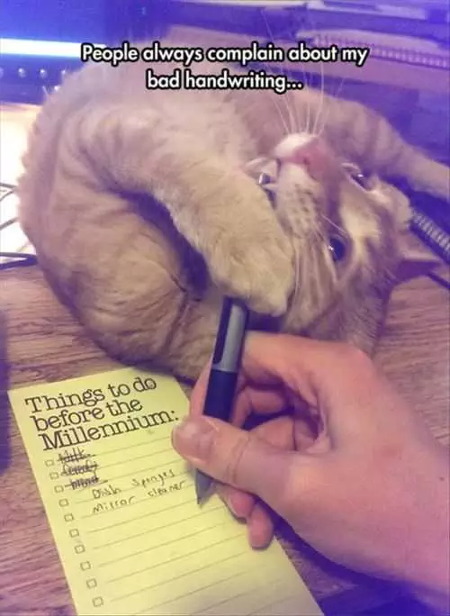 Why My Handwriting Sucks. Cat Likes To Attack My Pen This Week'S Funny Pictures Dump