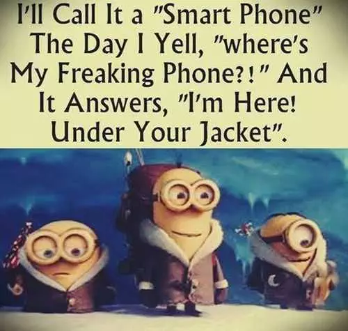 Best New Funny Despicable Me Minions Quotes 025