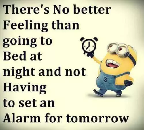 Funniest Minions Quotes On The Internet 395