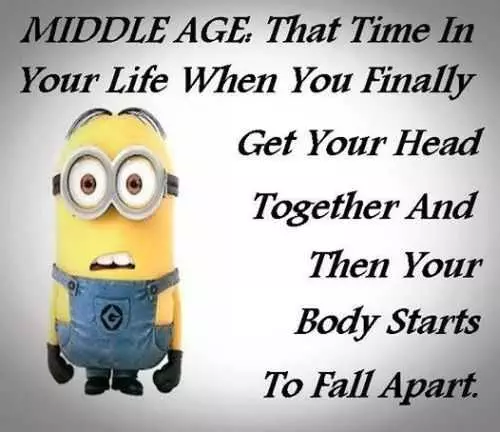 Funniest Minions Quotes On The Internet 416 Funny Minion Quotes Of The Week