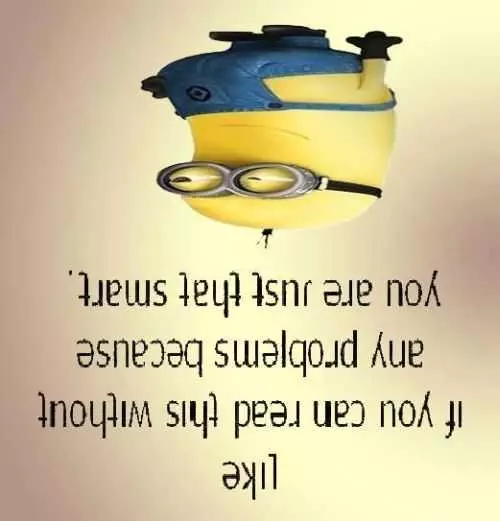 Funniest Minions Quotes On The Internet 423