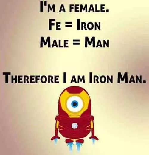 Funny Minions Quotes 024