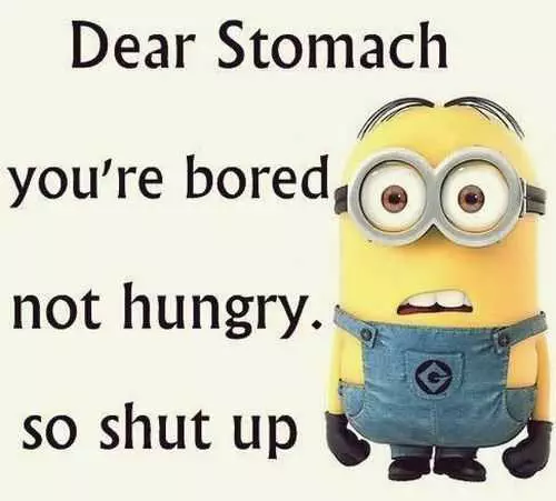Funny Minions Quotes 025