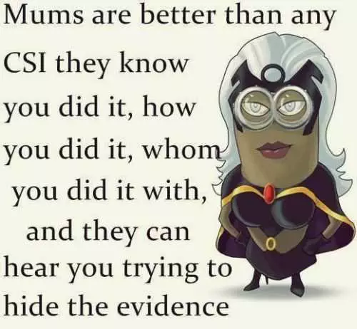 Funny Minions Quotes 034
