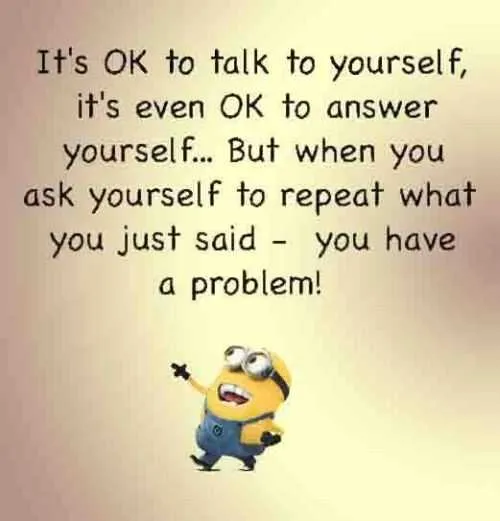Funny Minions Quotes 043