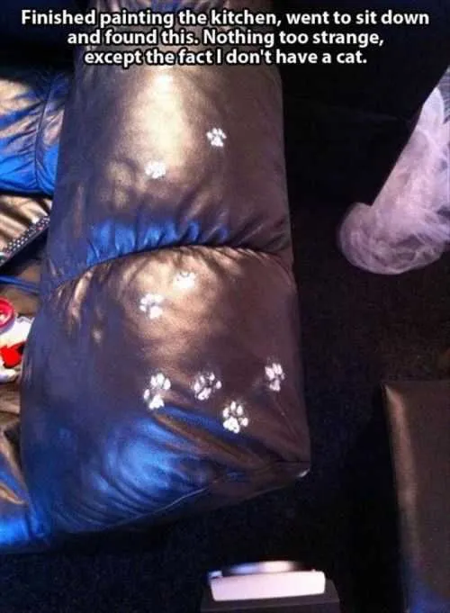 Funny Cat Footprints On The Couch