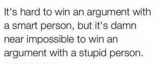 Its Hard To Win An Argument With A Stupid Person But It Is Impossible To Win An Argument With A Stupid Person Funny Quote