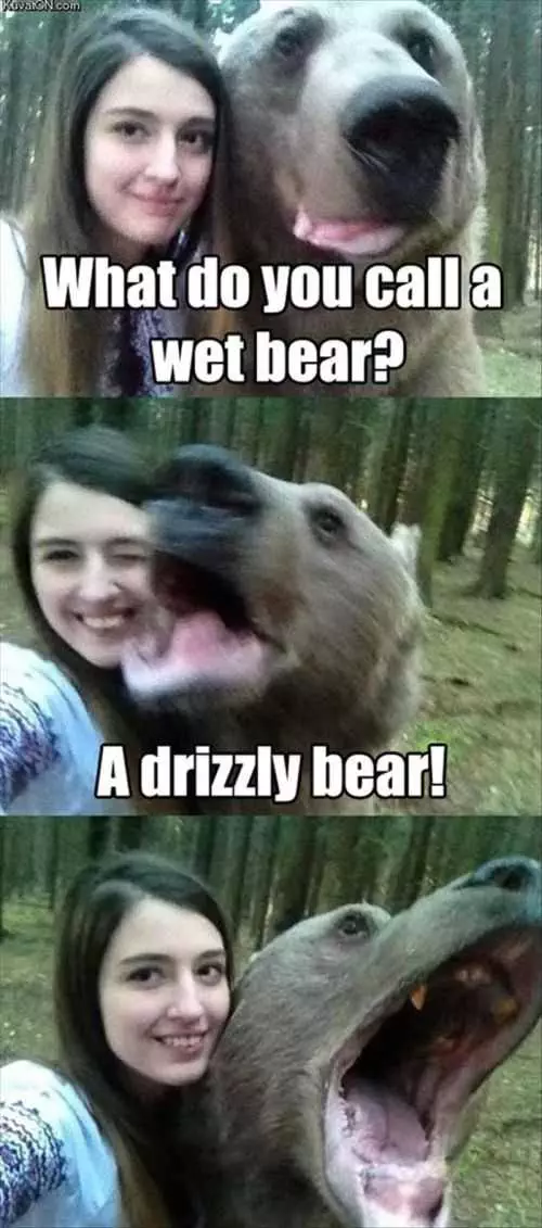 What Do You Call A Wet Bear Funny Joke