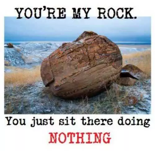 Youre My Rock Funny Quote Funniest Pictures Of The Week