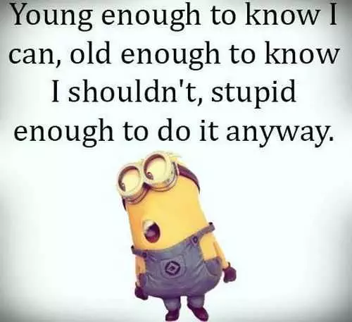 Despicable Me Funny Minion Quotes Of The Day 021