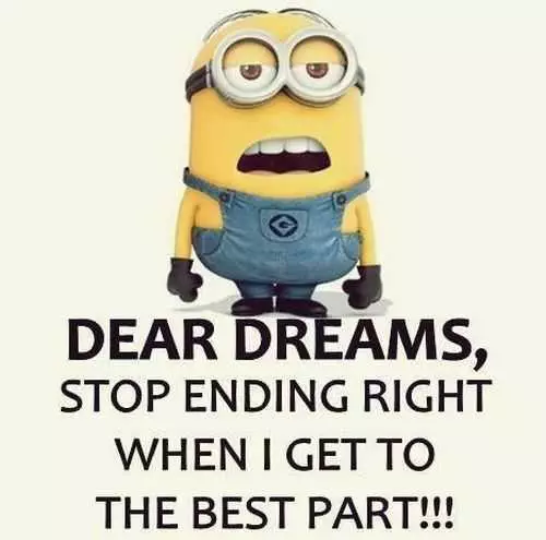 Despicable Me Funny Minion Quotes Of The Day 031