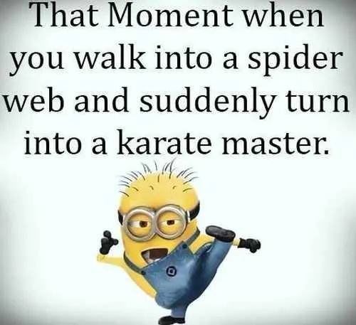 Despicable Me Funny Minion Quotes Of The Day 050 Funniest Minions Quotes Of The Week