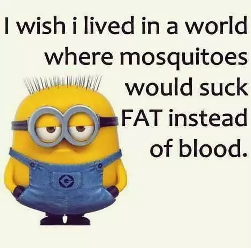 Despicable Me Funny Minion Quotes Of The Day 057
