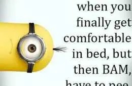 Funny Minions Pictures Of The Week 013