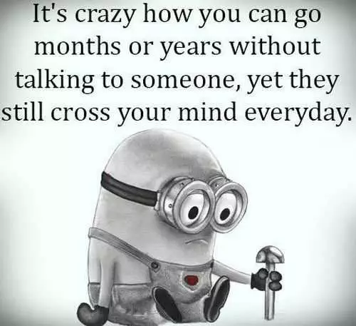 Funny Minions Pictures Of The Week 024