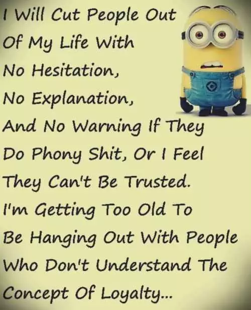 Funny Minions Pictures Of The Week 033