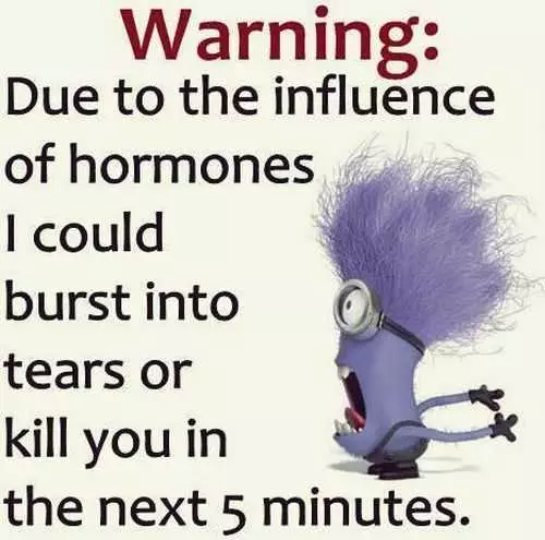 Funny Minions Pictures Of The Week 034