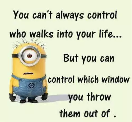 Funny Minions Pictures Of The Week 042